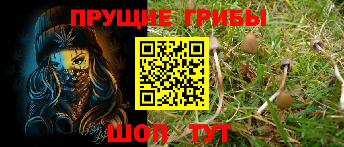 Изобильный  Псилоцибиновые грибы MAGIC MUSHROOMS  Вход с VPN 